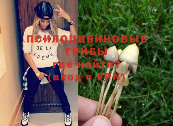 шишки Нефтегорск