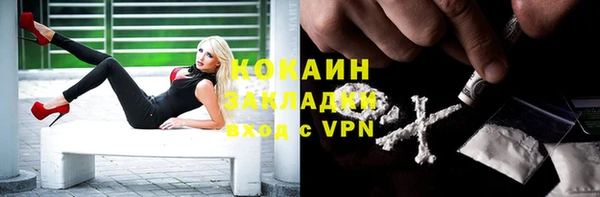 шишки Нефтегорск