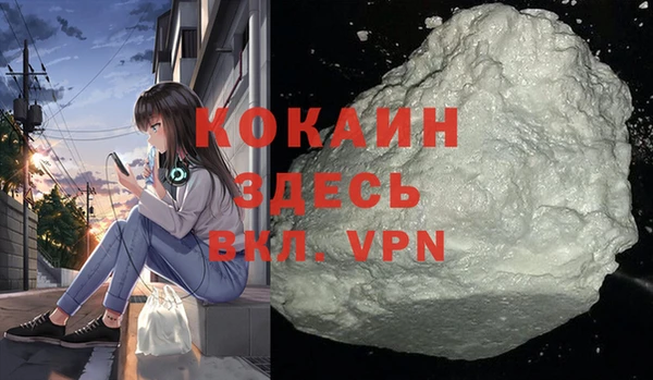 шишки Нефтегорск