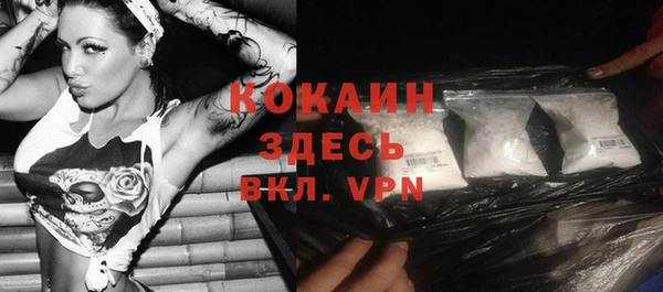 шишки Нефтегорск