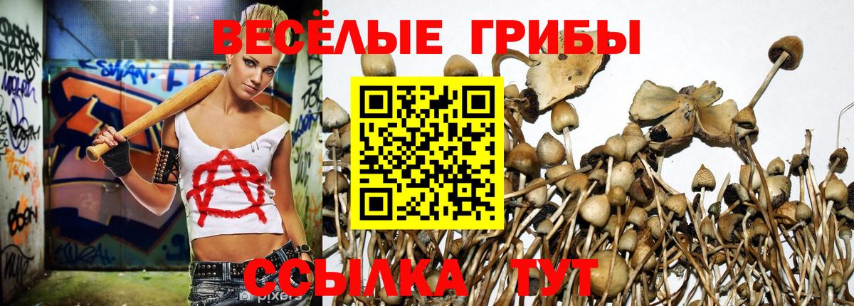 хочу   Галлюциногенные грибы Magic Shrooms  Вход с VPN  Ковров 